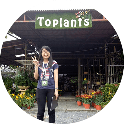 Eco Nursery | PGS | Earth Tag | Baba Gardening